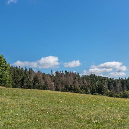 Haus Isele Apartman Urberg Kültér fotó