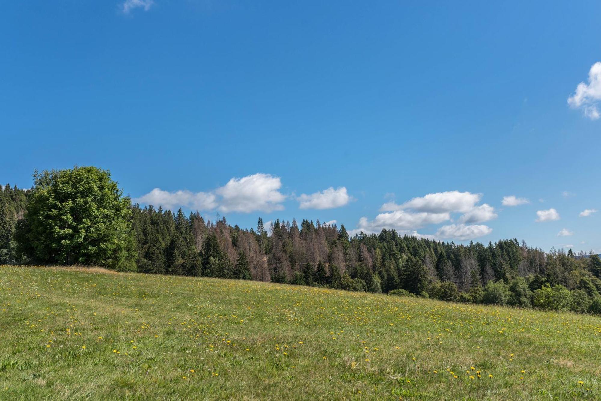 Haus Isele Apartman Urberg Kültér fotó